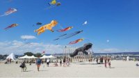 Фестиваль воздушных змеев гостит в Варне
