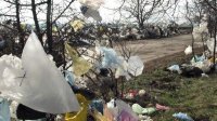 Экологи требуют запретить использование пластиковых пакетов