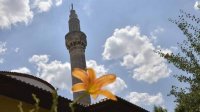 Государственные деятели и политики поздравили мусульман с Ураза-байрамом