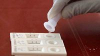 В стране за сутки выявлено 86 новых случаев Covid-19