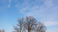 Прогноз погоды на 22 декабря