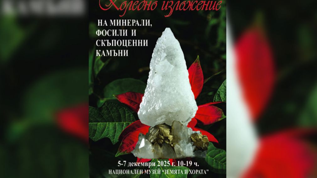 В музее &laquo;Земля и люди&raquo; откроется выставка минералов и драгоценных камней