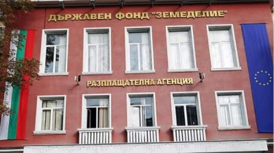 Фермеры получат средства на гуманное животноводство и птицеводство