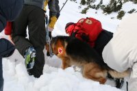 Горные спасатели помогли заблудившимся в горах украинским туристам