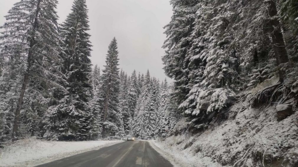 Прогноз погоды на 25 декабря 2025