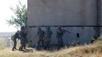 Военнослужащие из 8 стран провели демонстрацию умений в рамках многонационального учения Platinum Lion 2018