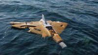 Военные уничтожили дрон у острова Святого Ивана