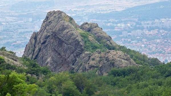 В Сливене спасли соколенка