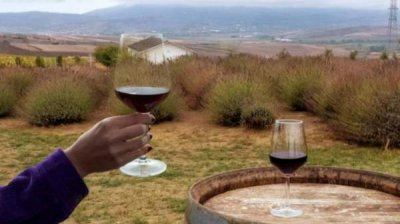 Небольшие группы, более высокие цены и бутиковые развлечения – как развивается винный туризм в стране