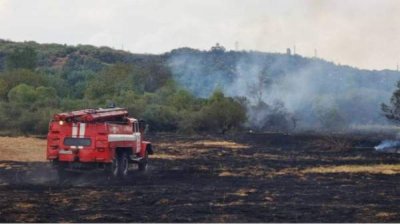 В 2024 году пожарами было охвачено 17 000 га леса