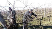Праздник биологически чистого вина в селе Любеново
