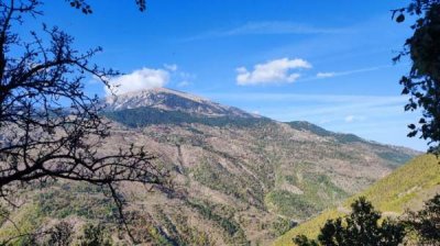 Болгары в с. Го̀ра сохраняют свой язык и культуру, но нуждаются в поддержке &ndash; I часть