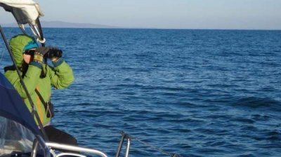 Черное море &ndash; море в опасности
