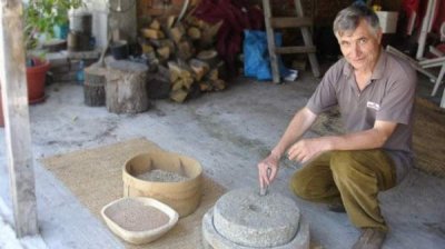 Полба &ndash; древняя растительная культура возрождается