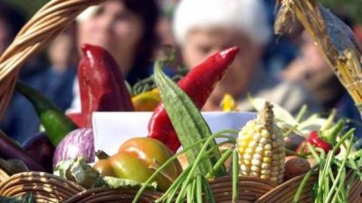 Повышается интерес к биопродуктам