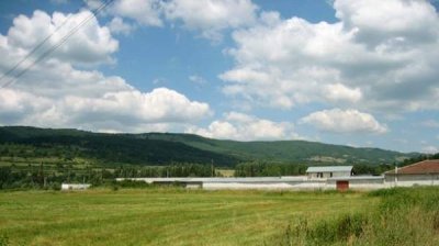 Сельскохозяйственные угодья &ndash; хит среди инвестиций в недвижимость в 2011 году