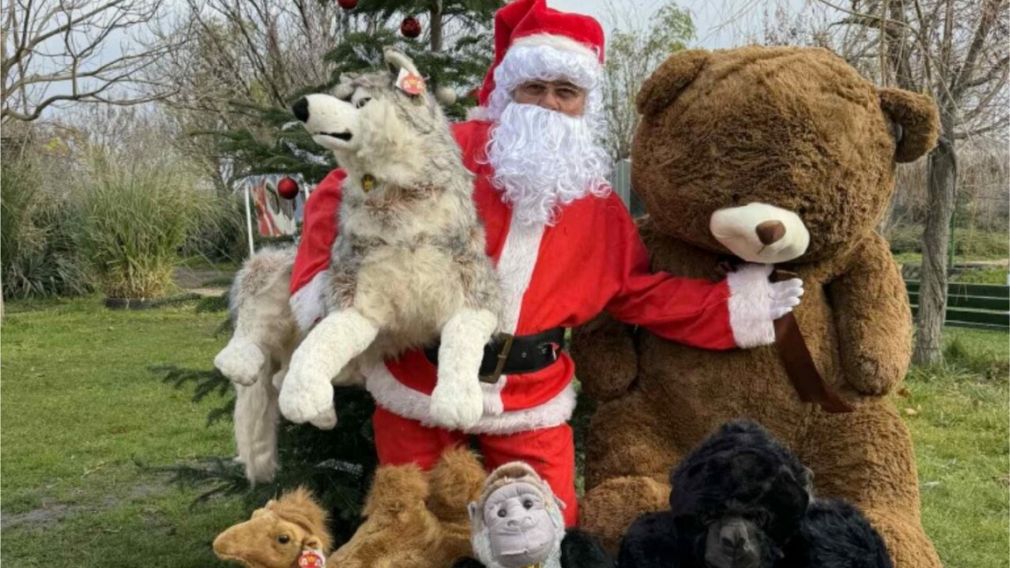 Животные Бургасского зоопарка получили рождественские подарки