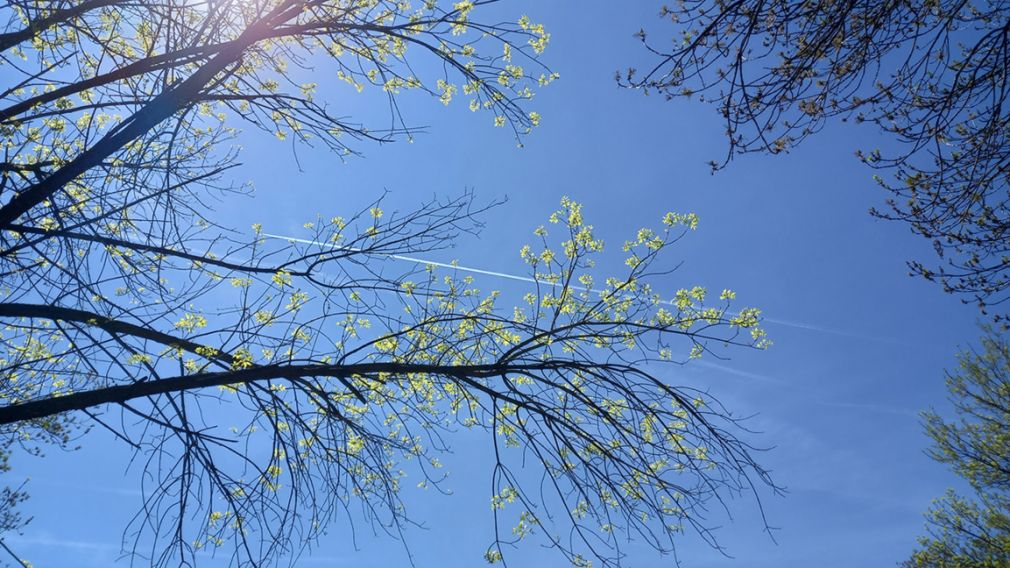 Утром будет прохладно, местами возможны заморозки, днем тепло