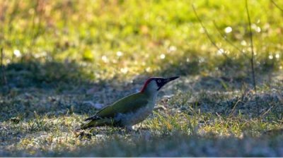 Прогноз погоды на 11 июля