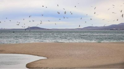 Желтый код угрозы сильного ветра по всей стране за исключением Кюстендила и Перника