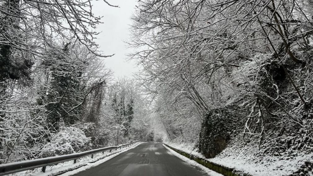 Зимний день с температурой около нуля