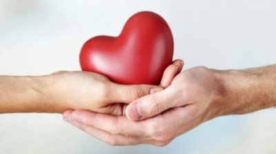 С начала 2025 г. проведено семь трансплантаций