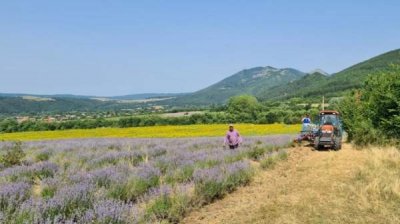 Органическое производство по инновационной технологии &ndash; залог успеха отечественной агрокомпании
