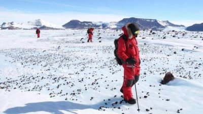 Бизнес в Антарктиде? Почему бы нет?