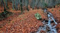 В среду облачно и терпимо холодно