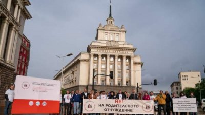 Митинг в поддержку "совместного родительства"
