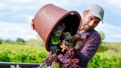 Более 5000 безработных болгар начали сезонную работу в Европе с начала года