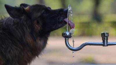 Прогноз погоды на 26 июля