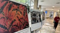 &quot;Ужас войны против Украины в фотографиях и детских рисунках&quot; - выставка в НБУ