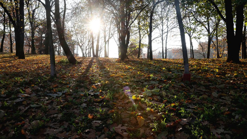 Солнечная погода, местами облачно
