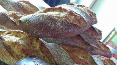 Международная конференция &laquo;Мир и земледелие&raquo; проходит в Болгарии