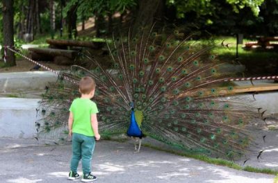Культурные институты постепенно возвращаются к &laquo;реальной жизни&raquo;
